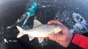 Первый лед на Рузском водохранилище 12.12.20. Лещ, судак, окунь. Рыбалка на чертика и безмотылку.