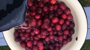 СЛИВОВОЕ ВАРЕНЬЕ СИЛТ!