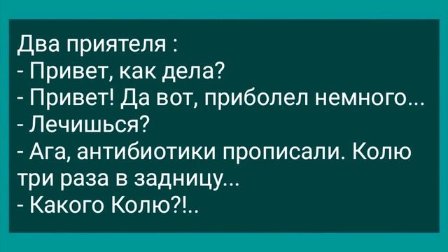 Сын Застал Родителей на Кухне! Сборник Свежих Анекдотов! Юмор! смотреть онлайн