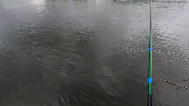 Рыбалка на Оке на удочку! Ловим ельца на опарыша с приманкой.
