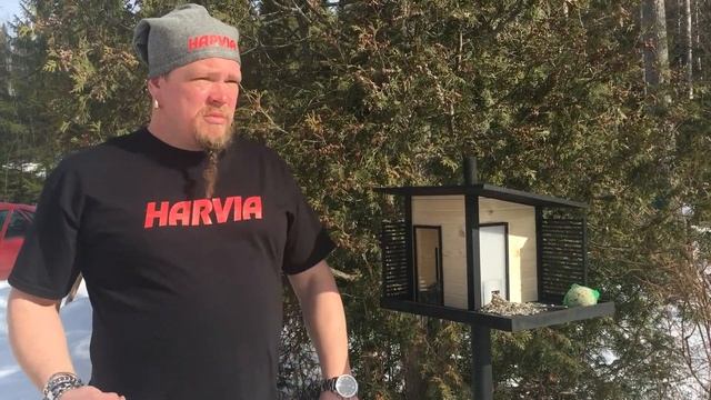 Сауна для птиц смотреть онлайн