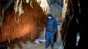 Корова под видеонаблюдением, последнее утепление, деревенские будни декабря!