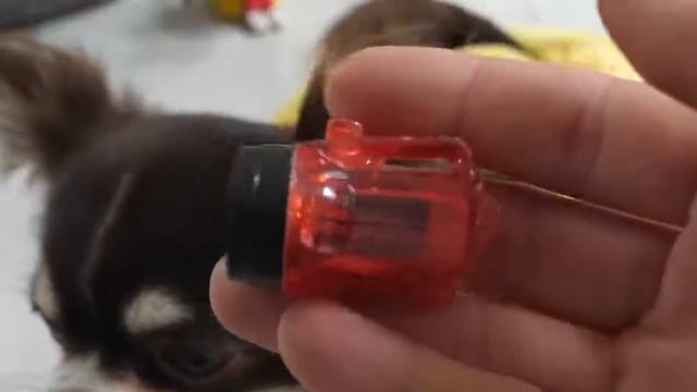 ДЕТЕКТИВ ЮМИ ЧУ И ПОЛИЦИЯ ПОКЕМОНОВ В ДЕЛЕ! смотреть онлайн