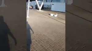 Бесплатная парковка для инвалидов около аэропорта Курумоч в Самаре