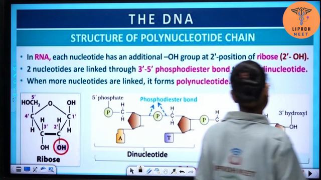 Molecular Basis of Inheritance: Unraveling Secrets of Genetic Information |Lecture-01|BY MEGHA MA'A