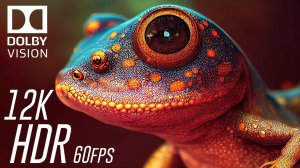 ЖИВОТНЫЕ и ПРИРОДА - Удивительная красота 4K HDR 60fps Dolby Vision