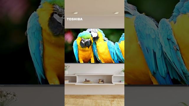 Улучшенная цветопередача телевизоров Toshiba!