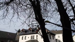 Review Ryobi ONE+ Cordless Pole Saw OPP1820 Akku Kabelloser Hochentaster Teleskop Astsäge Kettensäg