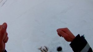 Рыбалка в глухозимье. Шульбинск. Подводные съемки. Куда девать рыбу.