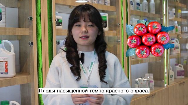 Семена Лоджейн F1 от компании Enza Zaden смотреть онлайн