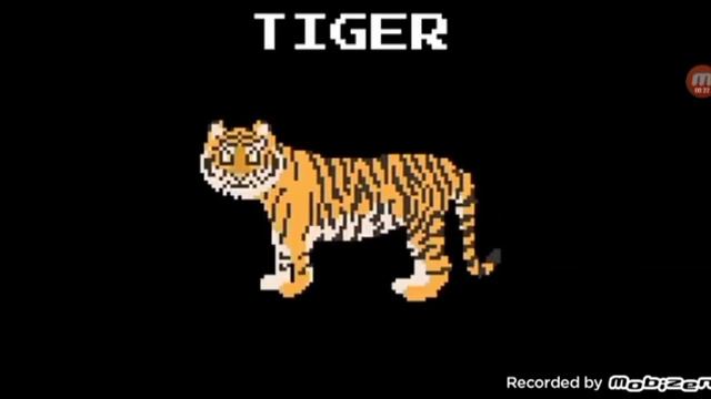 Mammals - The Kids' Picture Show смотреть онлайн