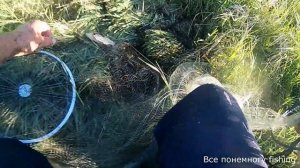 Рыбалка на малой реке Тюкалка. Рыбалка кастинговой сетью. Рыбалка в Омской области