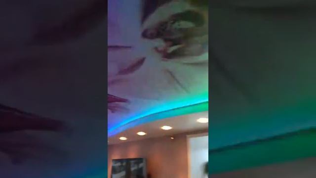 Двухуровневый потолок с фотопечатью и подсветкой смотреть онлайн