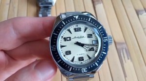 Амфибия "люминесцентная" 200409