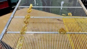 Ганемановские решетки.