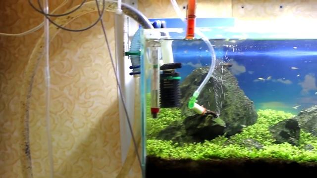 внешник мини смотреть онлайн