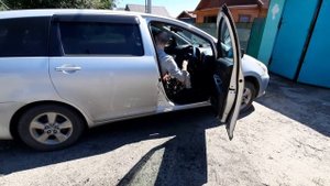Складывание инвалидной коляски в автомобиль и обратно