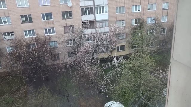 VLOG Покупки на пасху. смотреть онлайн