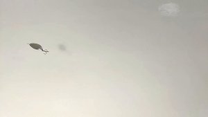 Серебристая (блесна завода Балтика) - замедленная съемка.