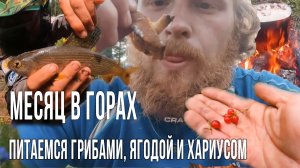 Автономный поход через Саяны. Что брать с собой чтобы выжить?