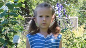 «Летний вечер» (Василий Андреевич Жуковский)