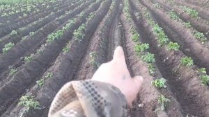 самодельные окучники, пробное окучивание!!!