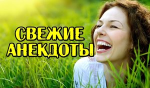 Свежие анекдоты. Смешные анекдоты.