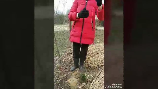 Забор бесплатно, своими руками смотреть онлайн