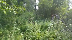 Путешествие в брошенную деревню на гусеничном вездеходе (снегоболотоходе)