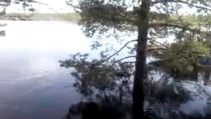 Лодка с дизельным двигателем