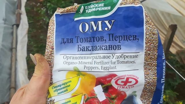 Первая подкормка перцев..
