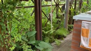 ПРОГУЛКА по ЛЮБИМОМУ САДУ