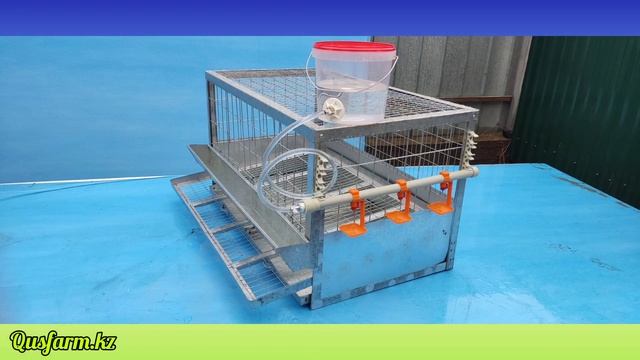 Клетки для бройлера и несушки.Клеточная содержания кур. смотреть онлайн