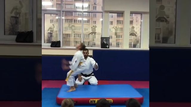 Надувной мат для занятий и тренировок на АЙКИДО смотреть онлайн