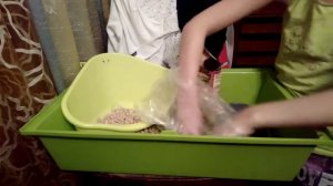 #ПОКУПКИ ДЛЯ КРОЛИКА#ЧТО НУЖНО ДЛЯ ПОЯВЛЕНИЯ КРОЛИКА#