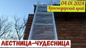 Краснодарский край. Готовлюсь к спилу дерева(04.01.2024)