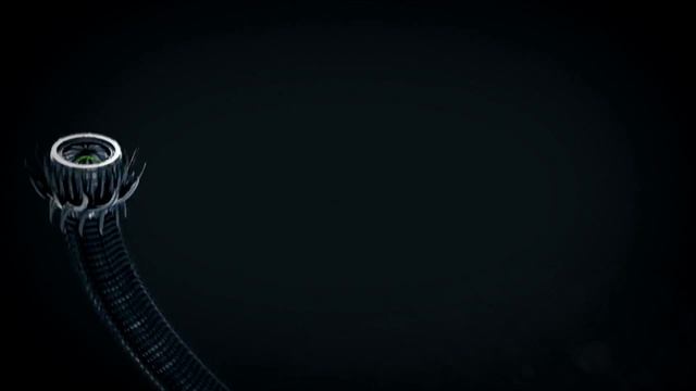 Ираклий делает БИТ-БОКС на гироборде | GIROBOARD.RU смотреть онлайн