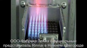 Горелка газового котла Rinnai EMF.