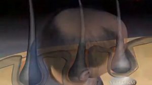 Лазерная расчёска Power Grow Comb