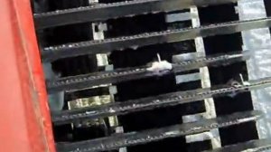 Работа ратрака на горнолыжнм склоне