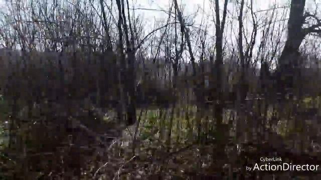 Верхнеднепровск !!!!