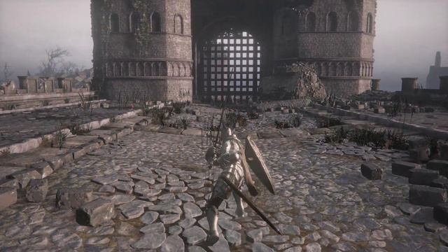 (Champions Ashes) Showcasing Silver Knight Straight Sword