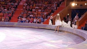 🎪🐩 Анастасия Новичкова и Максим Минасов с дрессированными собачками / Империя львиц