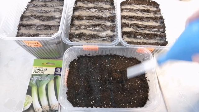 ✳️✳️Сею лук порей на рассаду✳️✳️Сезон 2021 смотреть онлайн