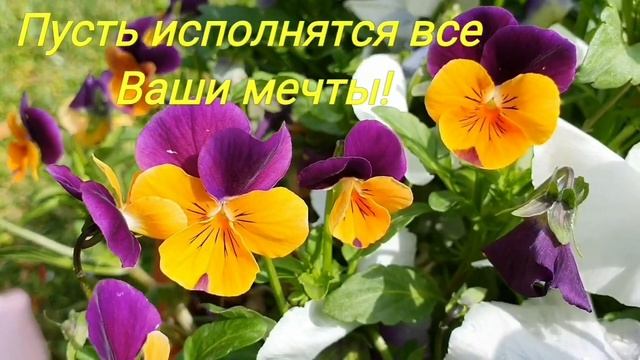 С Международным Днём Семьи, Любви и Верности! Красивое поздравление с праздником! 15 мая 2020 смотреть онлайн