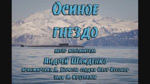 Осиное гнездо песня Андрея Швиденко