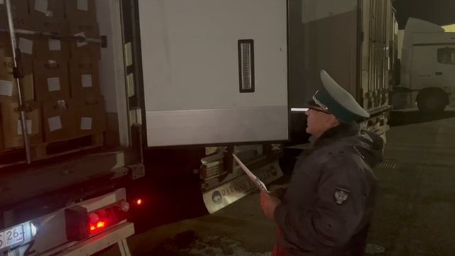 Россельхознадзор проконтролировал очередные поставки турецких пищевых яиц в Россию