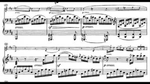 Beethoven Violin Sonata No. 6 in A major - Zosi/Schwan - Live, Score Video