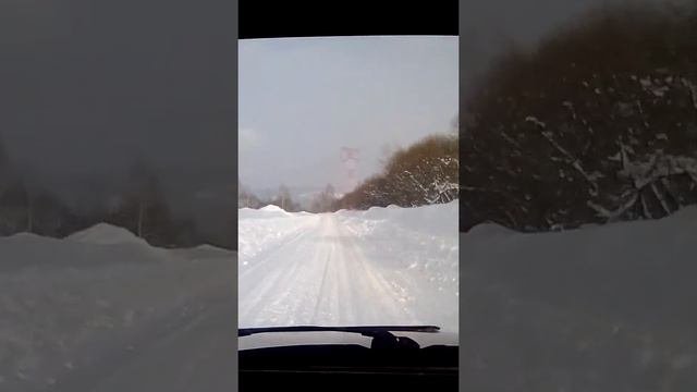 Родник.п.Зеленогорский