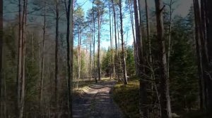 Простор небесный сизокрыл и тишина кругом, мне уголок России мил, мой добрый отчий дом!